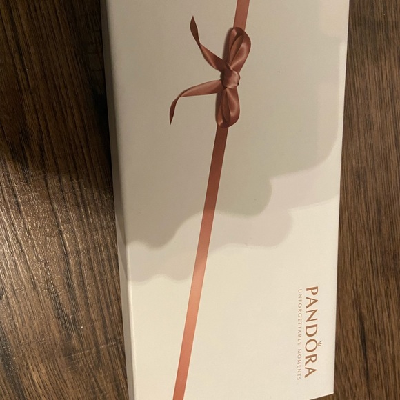 NWOT Pandora Jewellery Case - Picture 1 of 4